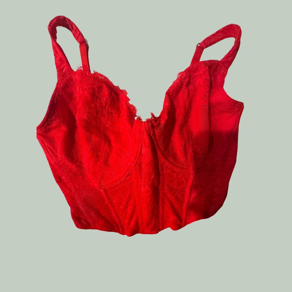 Gilly Hicks Red Floral Lace Corset Top Underwire Boned Bustier Small Curvy